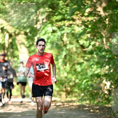 06.10.2024 - Bramfelder Halbmarathon 2024 Dr. Thomas Lammeyer http://msf.ph/oto/7339930 06.10.2024 10:40:20 Laufen 548 meine-sportfotos.de