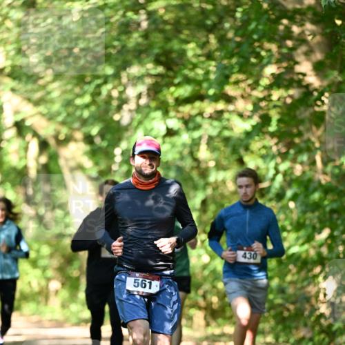 06.10.2024 - Bramfelder Halbmarathon 2024 Dr. Thomas Lammeyer http://msf.ph/oto/7339948 06.10.2024 10:40:25 Laufen 561, 430 meine-sportfotos.de