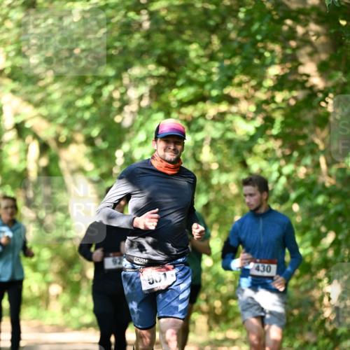 06.10.2024 - Bramfelder Halbmarathon 2024 Dr. Thomas Lammeyer http://msf.ph/oto/7339950 06.10.2024 10:40:25 Laufen 501, 430 meine-sportfotos.de
