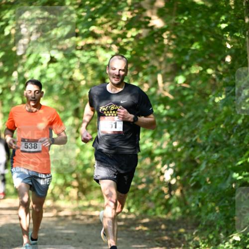 06.10.2024 - Bramfelder Halbmarathon 2024 Dr. Thomas Lammeyer http://msf.ph/oto/7340037 06.10.2024 10:41:27 Laufen 538, 0, 00, 0 meine-sportfotos.de