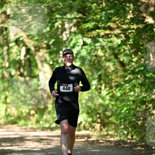 06.10.2024 - Bramfelder Halbmarathon 2024 Dr. Thomas Lammeyer http://msf.ph/oto/7340100 06.10.2024 10:41:44 Laufen 448 meine-sportfotos.de