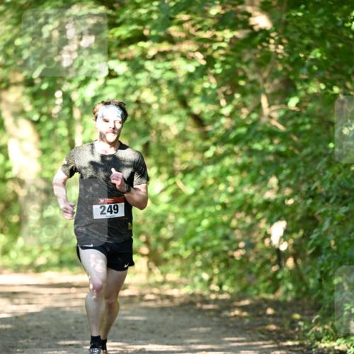 06.10.2024 - Bramfelder Halbmarathon 2024 Dr. Thomas Lammeyer http://msf.ph/oto/7340130 06.10.2024 10:41:53 Laufen 249 meine-sportfotos.de