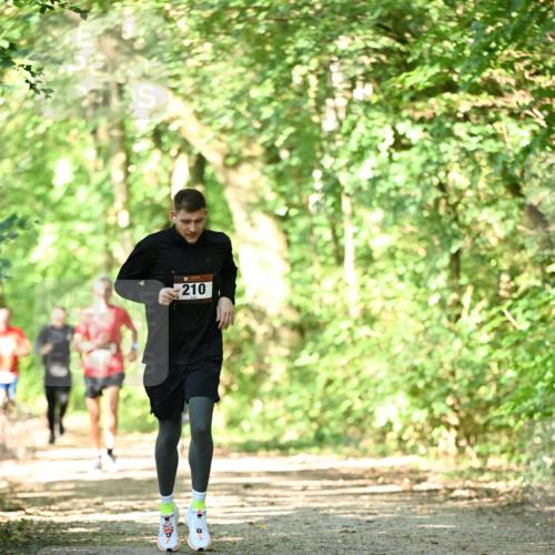 06.10.2024 - Bramfelder Halbmarathon 2024 Dr. Thomas Lammeyer http://msf.ph/oto/7340145 06.10.2024 10:41:58 Laufen 210 meine-sportfotos.de