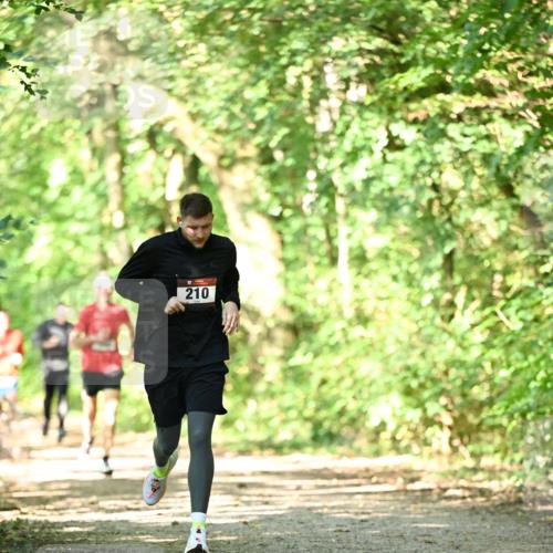 06.10.2024 - Bramfelder Halbmarathon 2024 Dr. Thomas Lammeyer http://msf.ph/oto/7340146 06.10.2024 10:41:58 Laufen 210 meine-sportfotos.de
