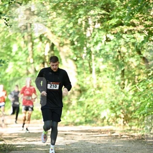 06.10.2024 - Bramfelder Halbmarathon 2024 Dr. Thomas Lammeyer http://msf.ph/oto/7340147 06.10.2024 10:41:58 Laufen 210 meine-sportfotos.de