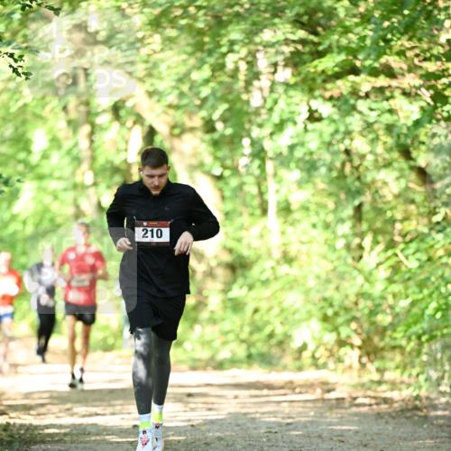 06.10.2024 - Bramfelder Halbmarathon 2024 Dr. Thomas Lammeyer http://msf.ph/oto/7340148 06.10.2024 10:41:58 Laufen 210 meine-sportfotos.de