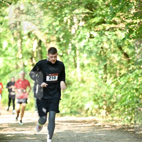 06.10.2024 - Bramfelder Halbmarathon 2024 Dr. Thomas Lammeyer http://msf.ph/oto/7340152 06.10.2024 10:41:59 Laufen 210 meine-sportfotos.de