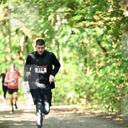 06.10.2024 - Bramfelder Halbmarathon 2024 Dr. Thomas Lammeyer http://msf.ph/oto/7340155 06.10.2024 10:41:59 Laufen 210 meine-sportfotos.de
