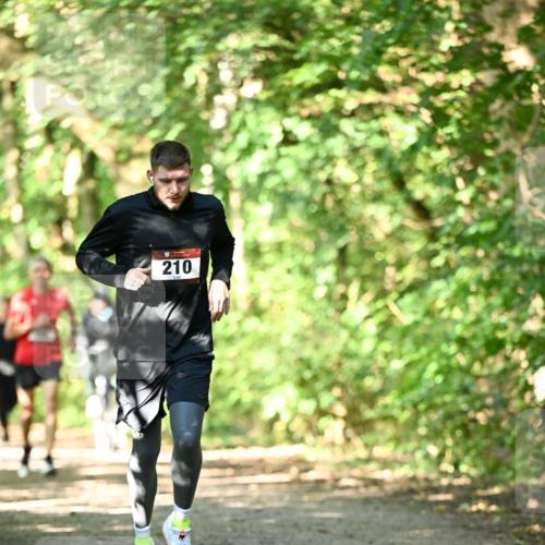 06.10.2024 - Bramfelder Halbmarathon 2024 Dr. Thomas Lammeyer http://msf.ph/oto/7340156 06.10.2024 10:41:59 Laufen 210 meine-sportfotos.de