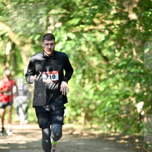 06.10.2024 - Bramfelder Halbmarathon 2024 Dr. Thomas Lammeyer http://msf.ph/oto/7340161 06.10.2024 10:42:00 Laufen 210 meine-sportfotos.de