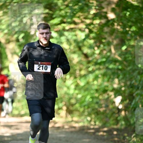 06.10.2024 - Bramfelder Halbmarathon 2024 Dr. Thomas Lammeyer http://msf.ph/oto/7340164 06.10.2024 10:42:00 Laufen 210 meine-sportfotos.de