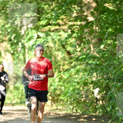06.10.2024 - Bramfelder Halbmarathon 2024 Dr. Thomas Lammeyer http://msf.ph/oto/7340180 06.10.2024 10:42:04 Laufen 560 meine-sportfotos.de
