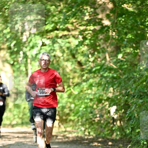 06.10.2024 - Bramfelder Halbmarathon 2024 Dr. Thomas Lammeyer http://msf.ph/oto/7340181 06.10.2024 10:42:04 Laufen 560 meine-sportfotos.de