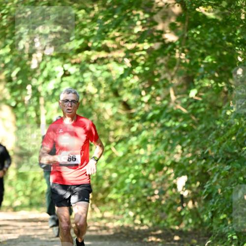 06.10.2024 - Bramfelder Halbmarathon 2024 Dr. Thomas Lammeyer http://msf.ph/oto/7340182 06.10.2024 10:42:05 Laufen 66 meine-sportfotos.de