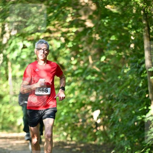 06.10.2024 - Bramfelder Halbmarathon 2024 Dr. Thomas Lammeyer http://msf.ph/oto/7340188 06.10.2024 10:42:05 Laufen 566 meine-sportfotos.de