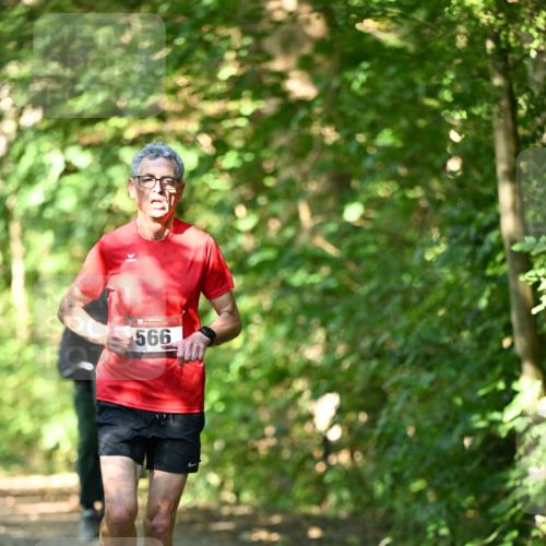 06.10.2024 - Bramfelder Halbmarathon 2024 Dr. Thomas Lammeyer http://msf.ph/oto/7340190 06.10.2024 10:42:06 Laufen 566 meine-sportfotos.de