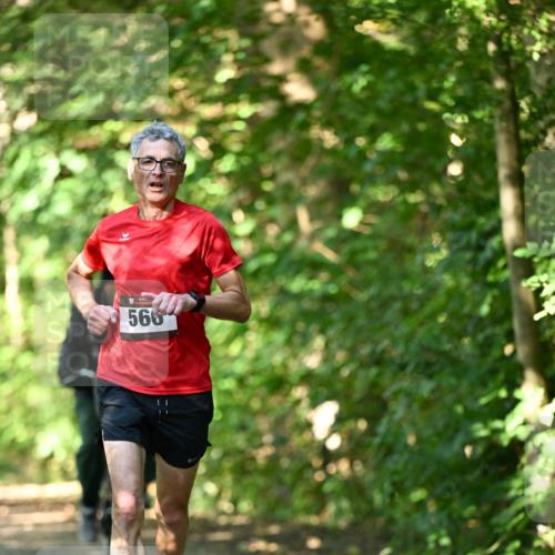 06.10.2024 - Bramfelder Halbmarathon 2024 Dr. Thomas Lammeyer http://msf.ph/oto/7340191 06.10.2024 10:42:06 Laufen 566 meine-sportfotos.de