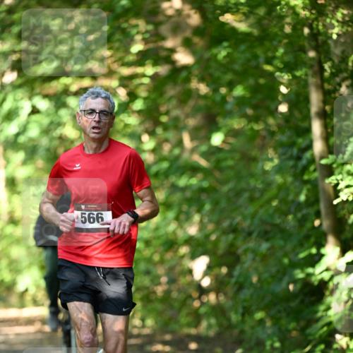 06.10.2024 - Bramfelder Halbmarathon 2024 Dr. Thomas Lammeyer http://msf.ph/oto/7340192 06.10.2024 10:42:06 Laufen 566 meine-sportfotos.de