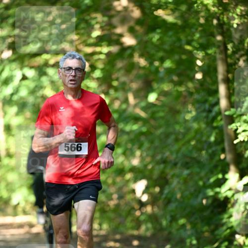 06.10.2024 - Bramfelder Halbmarathon 2024 Dr. Thomas Lammeyer http://msf.ph/oto/7340193 06.10.2024 10:42:06 Laufen 566 meine-sportfotos.de