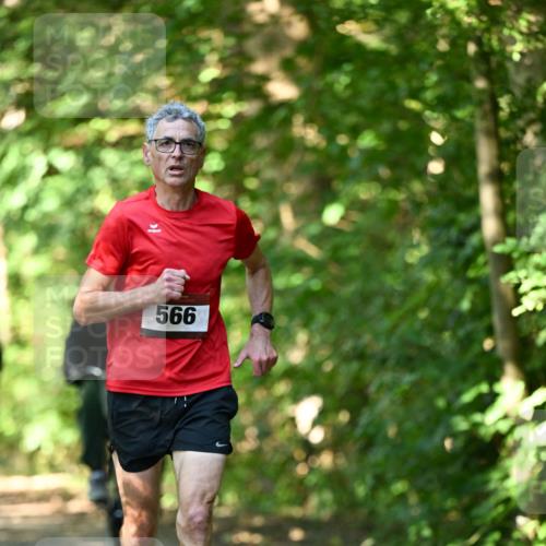 06.10.2024 - Bramfelder Halbmarathon 2024 Dr. Thomas Lammeyer http://msf.ph/oto/7340194 06.10.2024 10:42:06 Laufen 566 meine-sportfotos.de