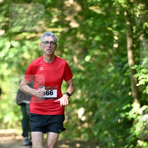 06.10.2024 - Bramfelder Halbmarathon 2024 Dr. Thomas Lammeyer http://msf.ph/oto/7340195 06.10.2024 10:42:06 Laufen 66 meine-sportfotos.de