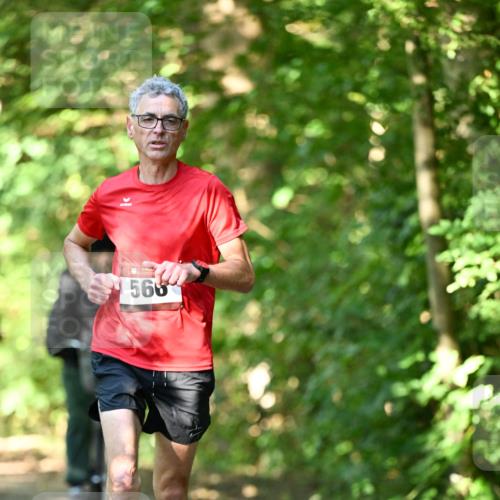 06.10.2024 - Bramfelder Halbmarathon 2024 Dr. Thomas Lammeyer http://msf.ph/oto/7340196 06.10.2024 10:42:06 Laufen 560 meine-sportfotos.de