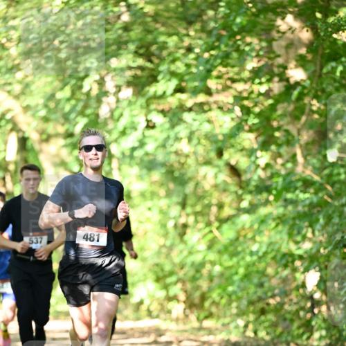 06.10.2024 - Bramfelder Halbmarathon 2024 Dr. Thomas Lammeyer http://msf.ph/oto/7340226 06.10.2024 10:42:16 Laufen 481, 537 meine-sportfotos.de