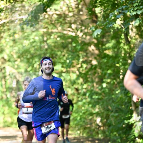 06.10.2024 - Bramfelder Halbmarathon 2024 Dr. Thomas Lammeyer http://msf.ph/oto/7340254 06.10.2024 10:42:22 Laufen 362 meine-sportfotos.de