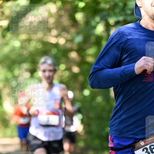 06.10.2024 - Bramfelder Halbmarathon 2024 Dr. Thomas Lammeyer http://msf.ph/oto/7340265 06.10.2024 10:42:24 Laufen 33, 36 meine-sportfotos.de