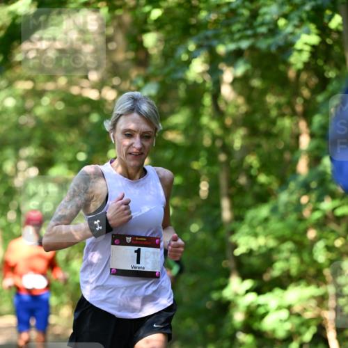 06.10.2024 - Bramfelder Halbmarathon 2024 Dr. Thomas Lammeyer http://msf.ph/oto/7340267 06.10.2024 10:42:24 Laufen 1 meine-sportfotos.de