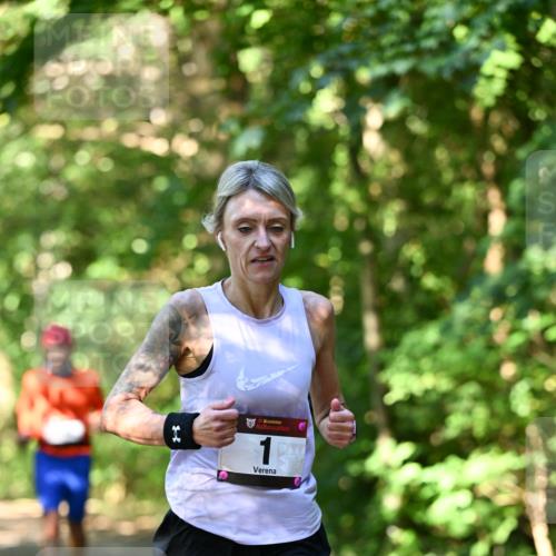 06.10.2024 - Bramfelder Halbmarathon 2024 Dr. Thomas Lammeyer http://msf.ph/oto/7340268 06.10.2024 10:42:24 Laufen 33 meine-sportfotos.de