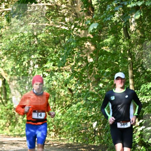 06.10.2024 - Bramfelder Halbmarathon 2024 Dr. Thomas Lammeyer http://msf.ph/oto/7340269 06.10.2024 10:42:25 Laufen 14, 389 meine-sportfotos.de