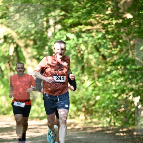 06.10.2024 - Bramfelder Halbmarathon 2024 Dr. Thomas Lammeyer http://msf.ph/oto/7340338 06.10.2024 10:42:55 Laufen 60, 244 meine-sportfotos.de