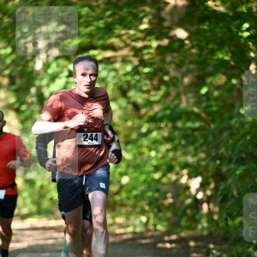 06.10.2024 - Bramfelder Halbmarathon 2024 Dr. Thomas Lammeyer http://msf.ph/oto/7340343 06.10.2024 10:42:56 Laufen 244 meine-sportfotos.de
