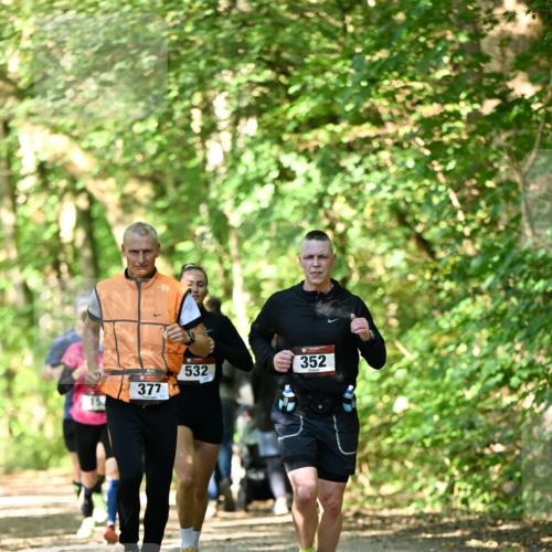 06.10.2024 - Bramfelder Halbmarathon 2024 Dr. Thomas Lammeyer http://msf.ph/oto/7340391 06.10.2024 10:43:42 Laufen 377, 113, 532, 352 meine-sportfotos.de
