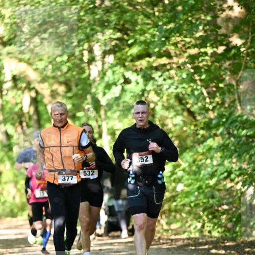 06.10.2024 - Bramfelder Halbmarathon 2024 Dr. Thomas Lammeyer http://msf.ph/oto/7340392 06.10.2024 10:43:42 Laufen 377, 532, 352 meine-sportfotos.de