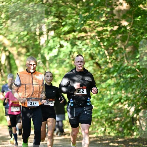 06.10.2024 - Bramfelder Halbmarathon 2024 Dr. Thomas Lammeyer http://msf.ph/oto/7340395 06.10.2024 10:43:43 Laufen 377, 532, 352 meine-sportfotos.de