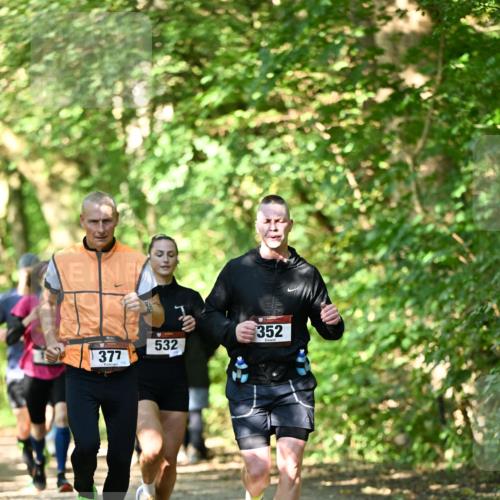 06.10.2024 - Bramfelder Halbmarathon 2024 Dr. Thomas Lammeyer http://msf.ph/oto/7340396 06.10.2024 10:43:43 Laufen 377, 532, 352 meine-sportfotos.de