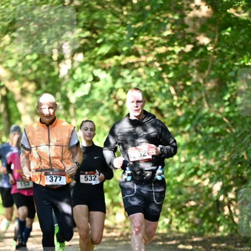06.10.2024 - Bramfelder Halbmarathon 2024 Dr. Thomas Lammeyer http://msf.ph/oto/7340398 06.10.2024 10:43:43 Laufen 377, 532 meine-sportfotos.de