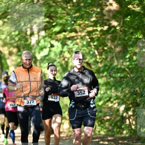 06.10.2024 - Bramfelder Halbmarathon 2024 Dr. Thomas Lammeyer http://msf.ph/oto/7340399 06.10.2024 10:43:43 Laufen 377, 113, 532, 352 meine-sportfotos.de