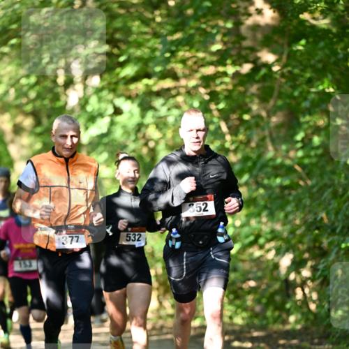 06.10.2024 - Bramfelder Halbmarathon 2024 Dr. Thomas Lammeyer http://msf.ph/oto/7340400 06.10.2024 10:43:44 Laufen 152, 377, 532, 352 meine-sportfotos.de