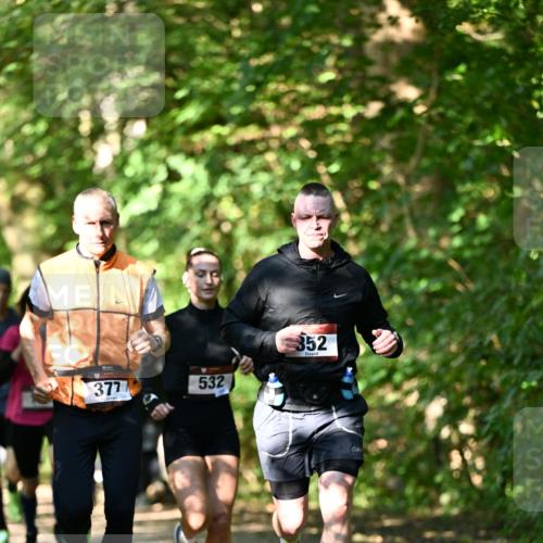 06.10.2024 - Bramfelder Halbmarathon 2024 Dr. Thomas Lammeyer http://msf.ph/oto/7340401 06.10.2024 10:43:44 Laufen 377, 532, 352 meine-sportfotos.de