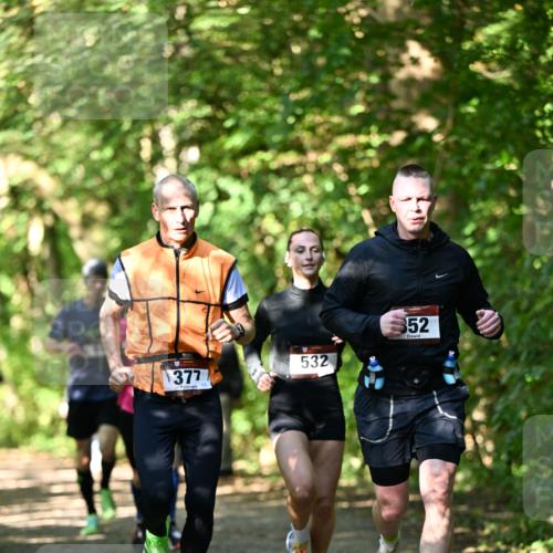 06.10.2024 - Bramfelder Halbmarathon 2024 Dr. Thomas Lammeyer http://msf.ph/oto/7340403 06.10.2024 10:43:44 Laufen 377, 532, 52 meine-sportfotos.de