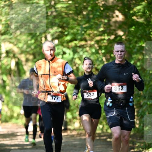 06.10.2024 - Bramfelder Halbmarathon 2024 Dr. Thomas Lammeyer http://msf.ph/oto/7340404 06.10.2024 10:43:45 Laufen 377, 113, 532, 352 meine-sportfotos.de