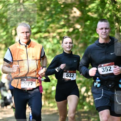 06.10.2024 - Bramfelder Halbmarathon 2024 Dr. Thomas Lammeyer http://msf.ph/oto/7340407 06.10.2024 10:43:46 Laufen 532, 210, 377, 352 meine-sportfotos.de
