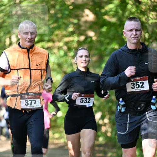 06.10.2024 - Bramfelder Halbmarathon 2024 Dr. Thomas Lammeyer http://msf.ph/oto/7340408 06.10.2024 10:43:46 Laufen 33, 377, 113, 532, 210, 352 meine-sportfotos.de