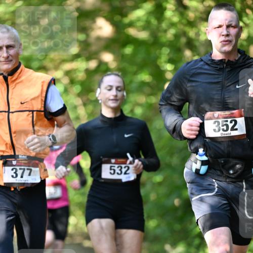 06.10.2024 - Bramfelder Halbmarathon 2024 Dr. Thomas Lammeyer http://msf.ph/oto/7340411 06.10.2024 10:43:46 Laufen 377, 113, 532, 352 meine-sportfotos.de