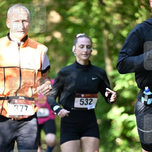06.10.2024 - Bramfelder Halbmarathon 2024 Dr. Thomas Lammeyer http://msf.ph/oto/7340414 06.10.2024 10:43:46 Laufen 532, 377 meine-sportfotos.de