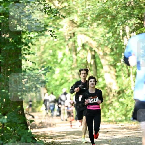 06.10.2024 - Bramfelder Halbmarathon 2024 Dr. Thomas Lammeyer http://msf.ph/oto/7340524 06.10.2024 10:44:17 Laufen 517 meine-sportfotos.de