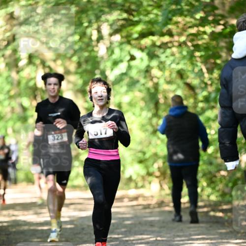 06.10.2024 - Bramfelder Halbmarathon 2024 Dr. Thomas Lammeyer http://msf.ph/oto/7340537 06.10.2024 10:44:19 Laufen 323, 517 meine-sportfotos.de